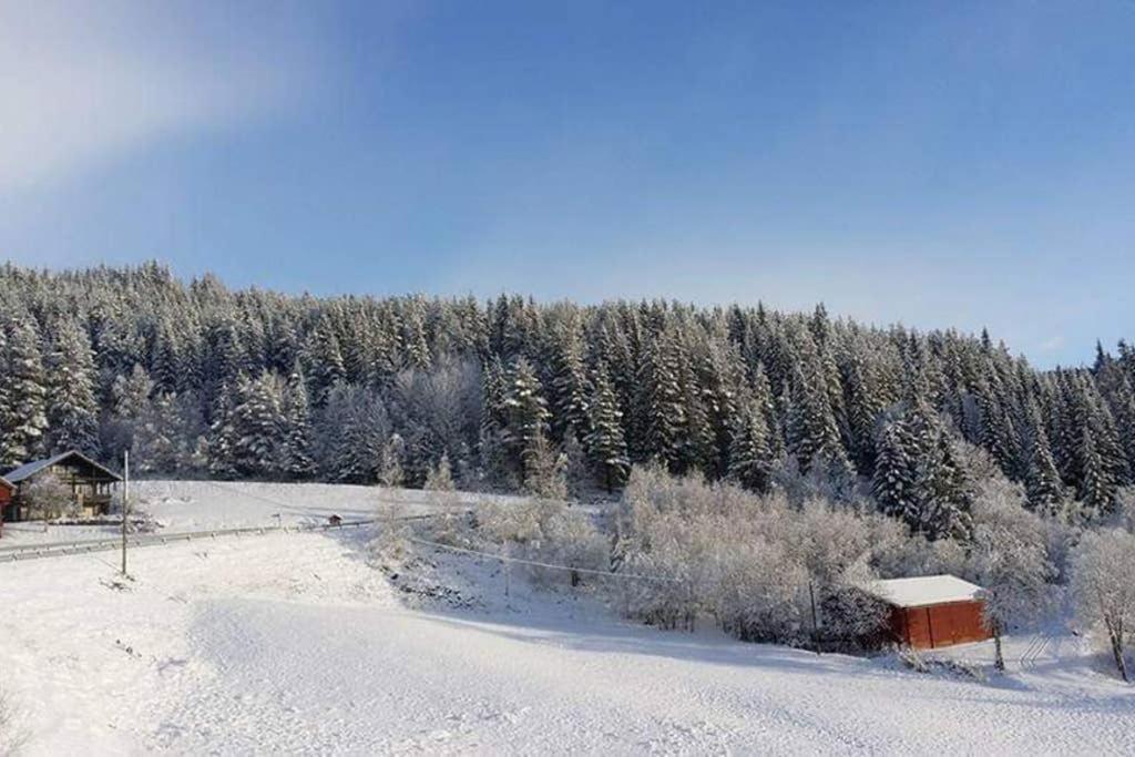 Dalen Studio 1 Экстерьер фото